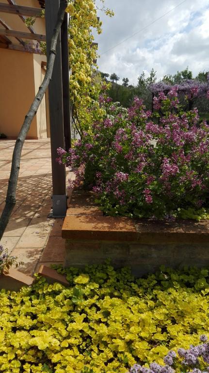 B&B Antegiano Belforte del Chienti 外观 照片